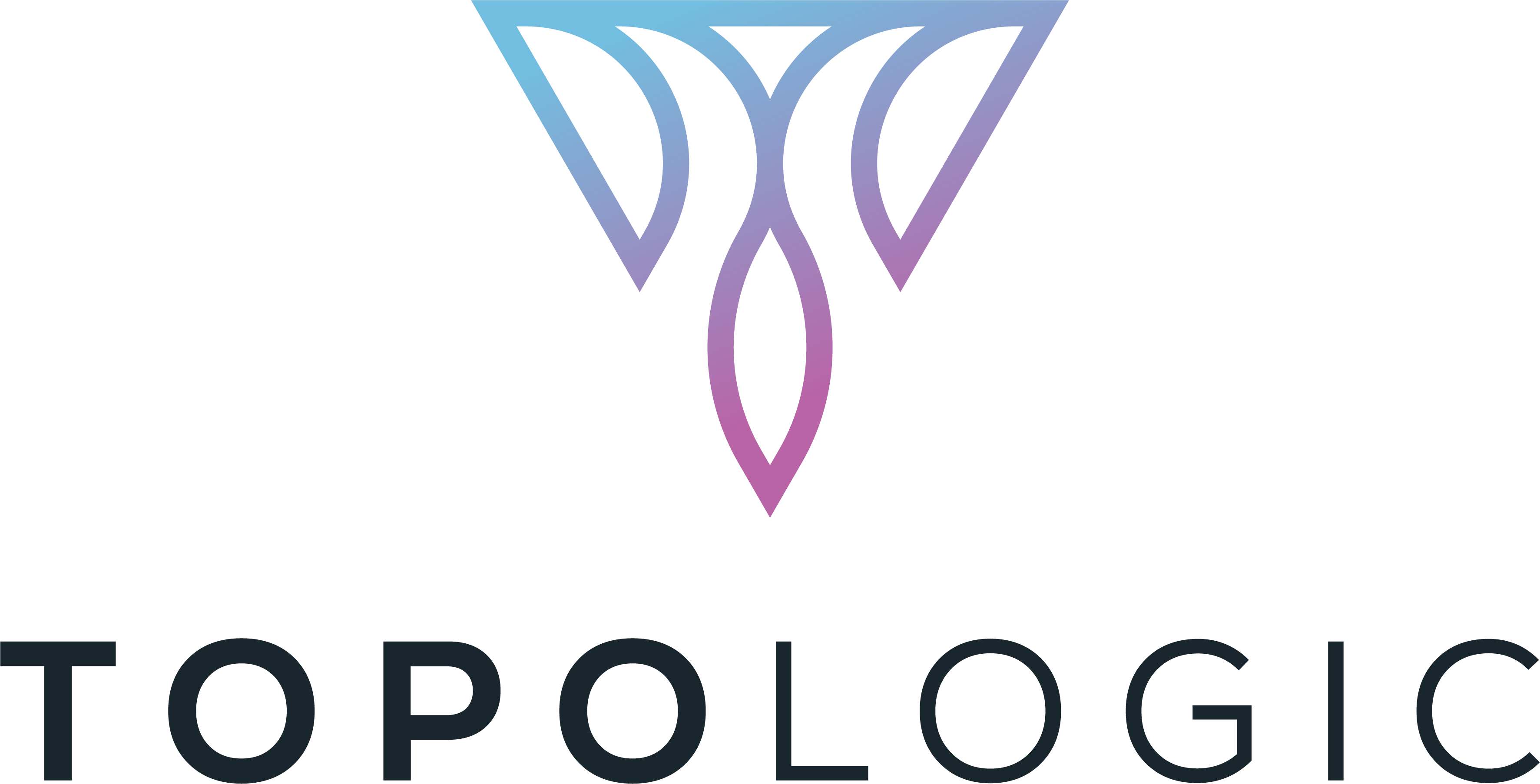 TopoLogic Inc.
